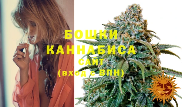 мдпв Березники