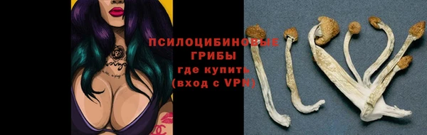 мдпв Наволоки