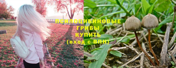 ГАЛЛЮЦИНОГЕННЫЕ ГРИБЫ Навашино