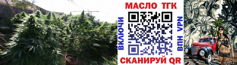 OMG вход  Калининград  ТГК Wax 